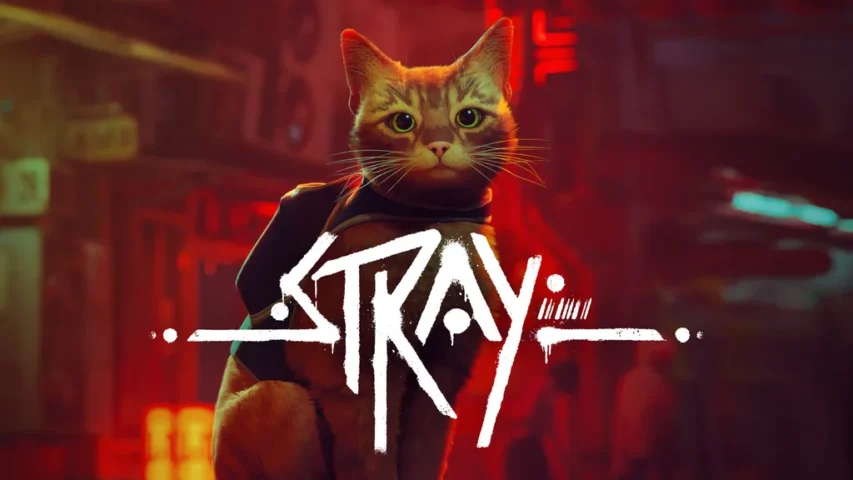 Stray Ps Plus